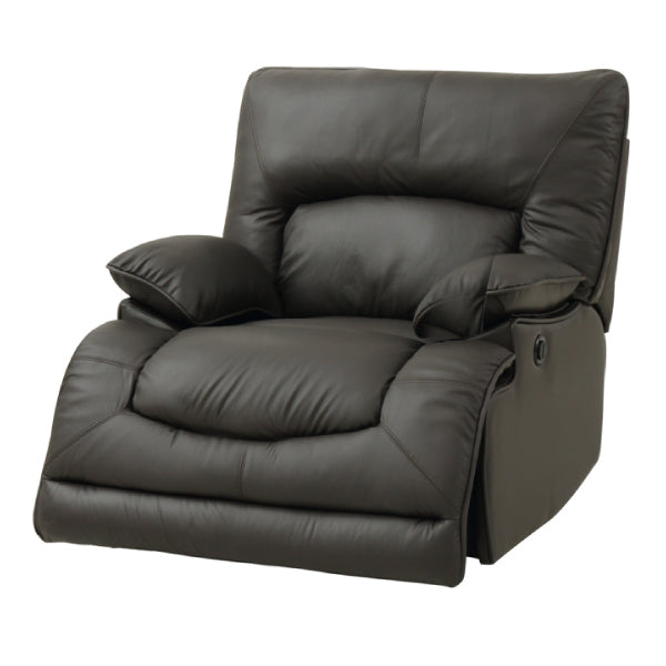 1SEATER ELECTRIC SOFA HIT DBR