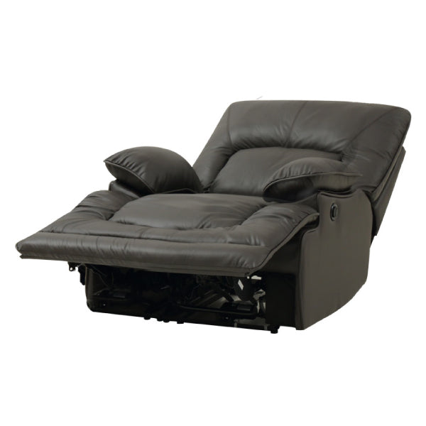 1SEATER ELECTRIC SOFA HIT DBR