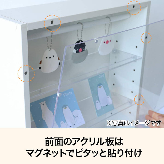 Display Box Medium 35 x 40cm (White)