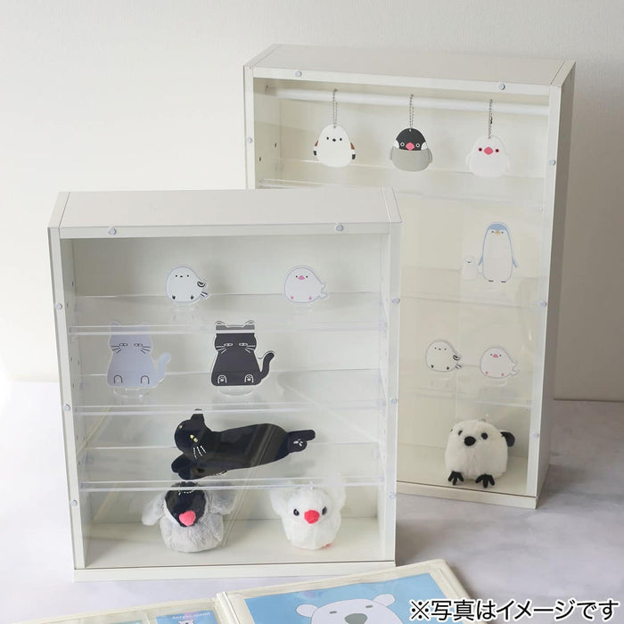 Display Box Medium 35 x 40cm (White)
