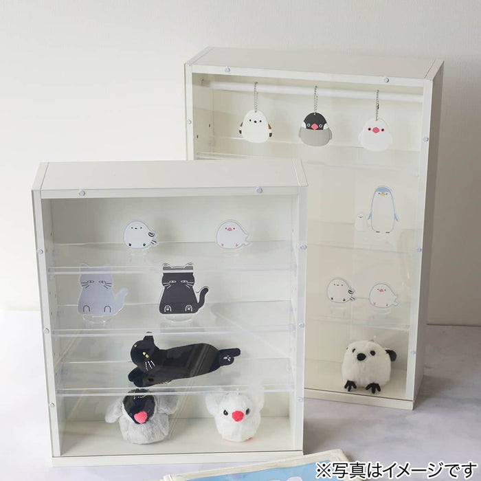Display Box Large 35 x 50cm (White)