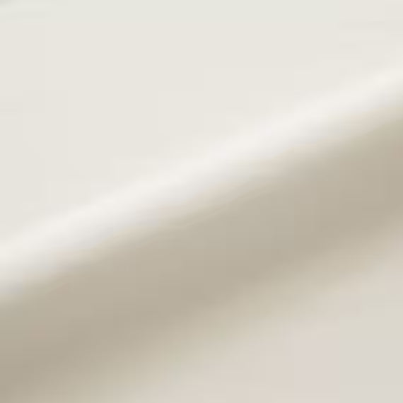 STRETCH FIT PILLOWCOVER NCOOL N2532 FRILLS WH