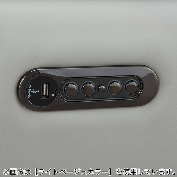 2M ELECTRIC 3P SOFA LS02 NW