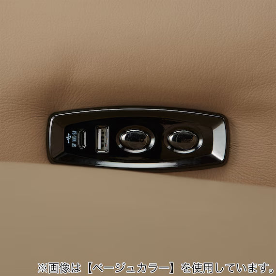 ELECTRIC 3P SOFA LS04 NW DGR