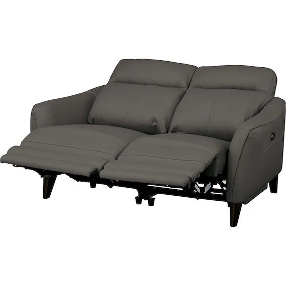 ELECTRIC 2P SOFA LS06 NW DGY
