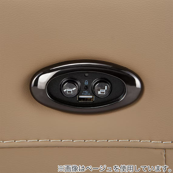 ELECTRIC 3P SOFA LS06 NW DGR