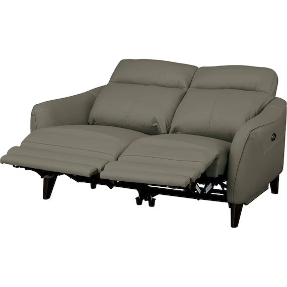 ELECTRIC 2P SOFA LS06 NW DGR