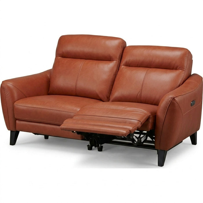 LS06 2-Seater Power Reclining Leather Sofa (Brown)