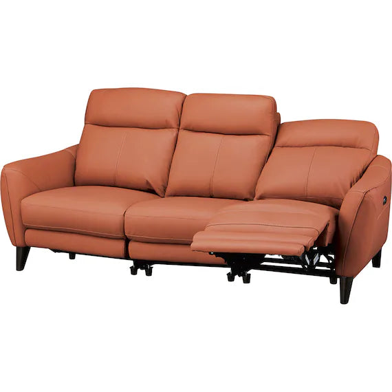 LS06 3-Seater Power Reclining Leather Sofa (Brown)