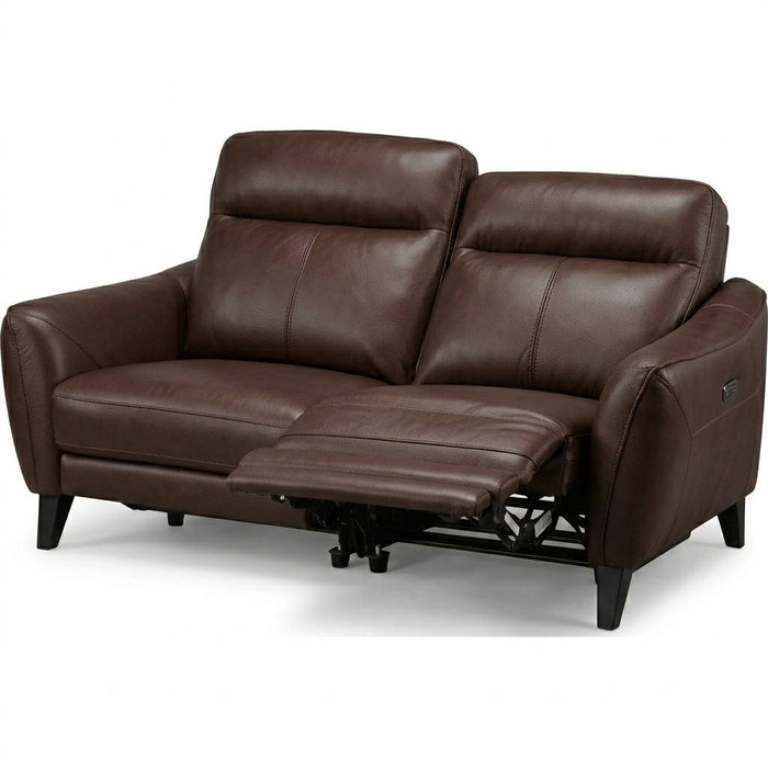 LS06 2-Seater Power Reclining Leather Sofa (Dark Brown)