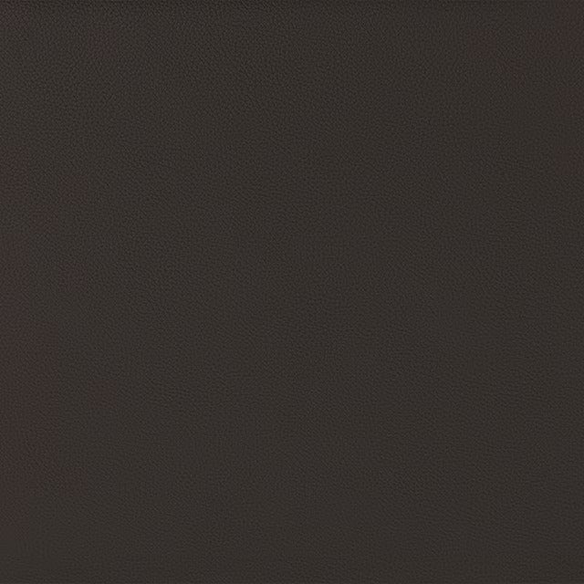 2MOTOR ELECTRIC PERSONALCHAIR LE01-2 DBR