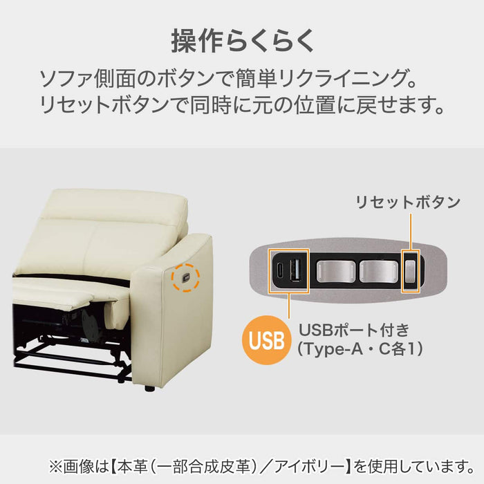 2 SEATER ELECTRIC SOFA UM04