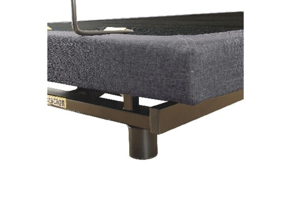 ELECTRIC RECLINING BED CLINE