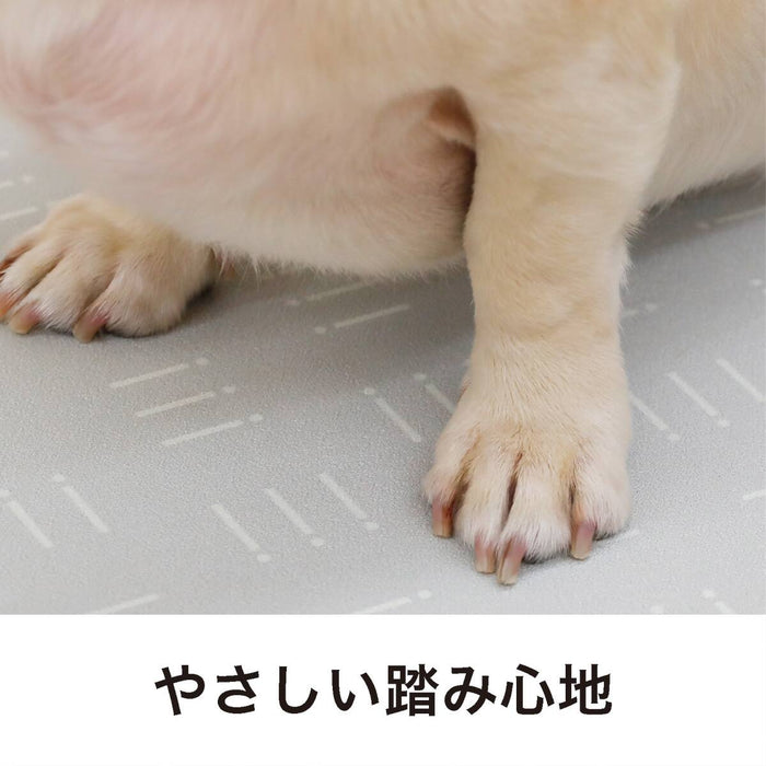 Water Absorbing Pet Mat 60 x 30 cm (Beige)