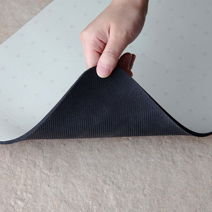 Water Absorbing Pet Mat 60 x 30 cm (Beige)