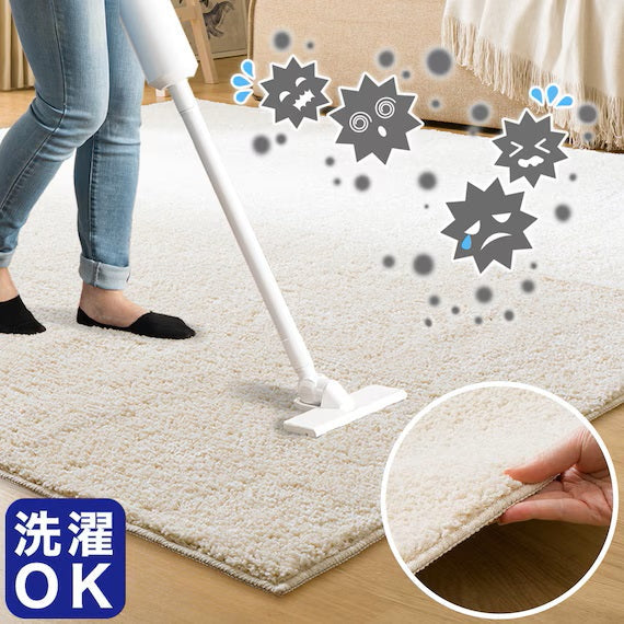 SHAGGY RUG 185X185 BE SR002