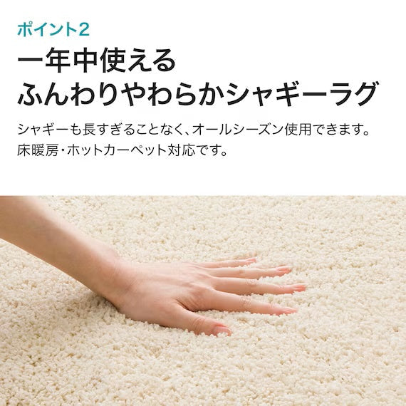 SHAGGY RUG 130X185 BE SR002