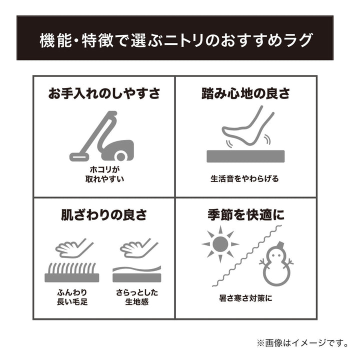 USAGI RUG 3 130R RO US04