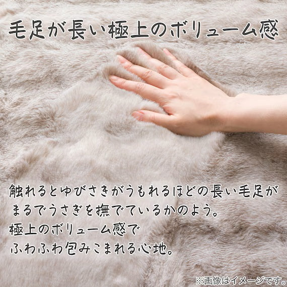 USAGI RUG BB LMO 160X230 ZG11