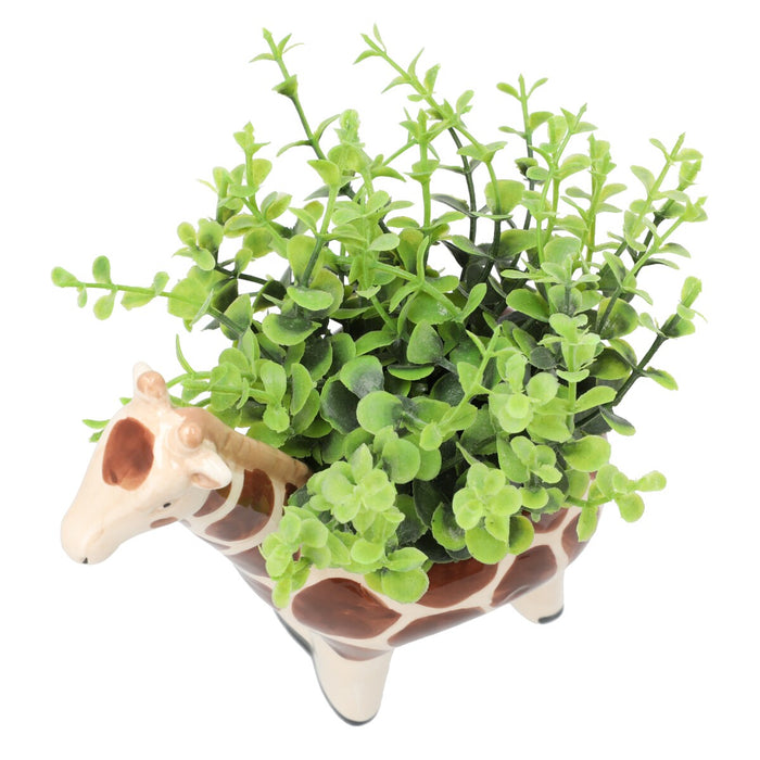 OREGANO  IN ANIMAL POT GIRAFF