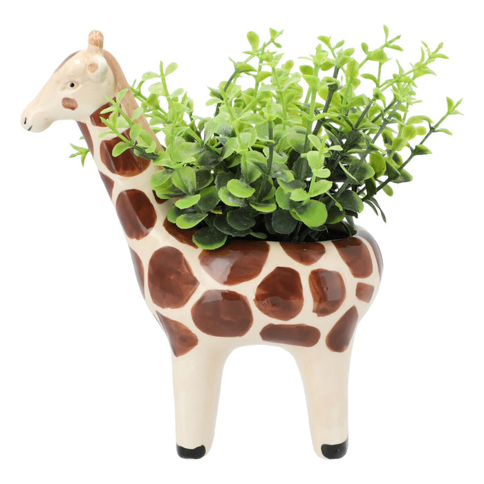 OREGANO  IN ANIMAL POT GIRAFF