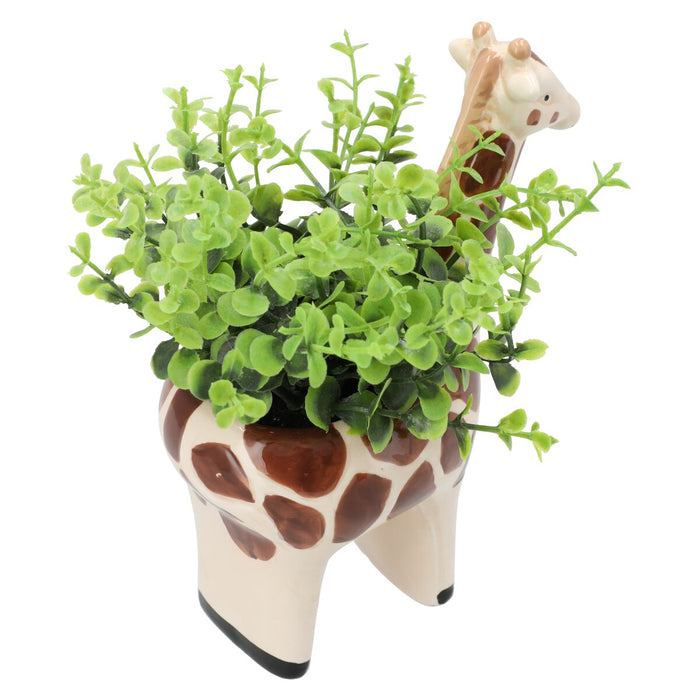 OREGANO  IN ANIMAL POT GIRAFF