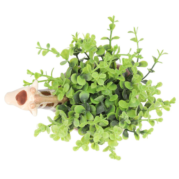 OREGANO  IN ANIMAL POT GIRAFF