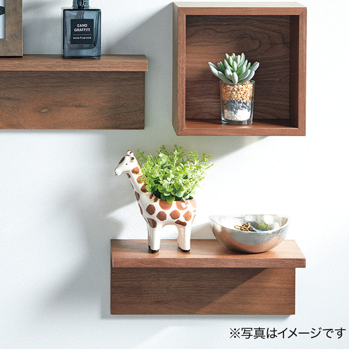 OREGANO  IN ANIMAL POT GIRAFF