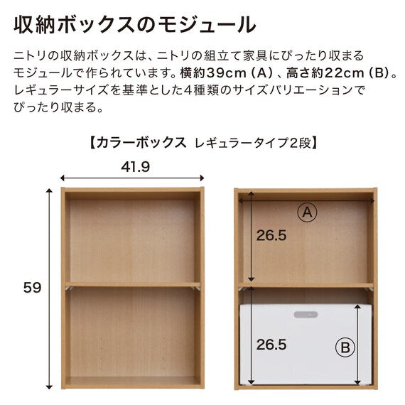 STORAGE BOX KOOLI2 BR