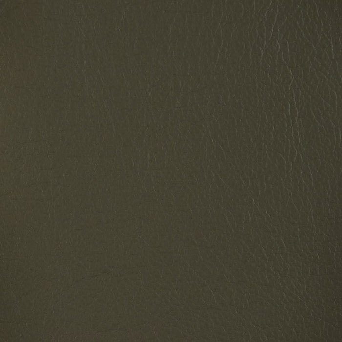 ELECTRIC 2P SOFA LS04 NW DGR