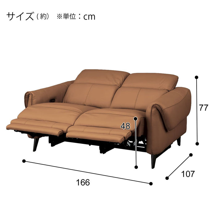 ELECTRIC 2P SOFA LS04 NW BR