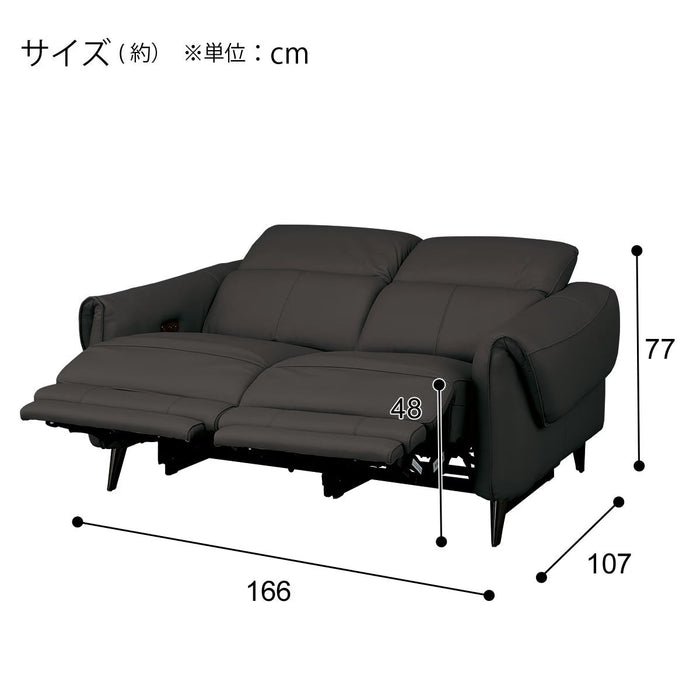 ELECTRIC 2P SOFA LS04 NW BK