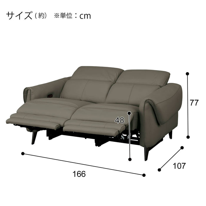ELECTRIC 2P SOFA LS04 NW DGR