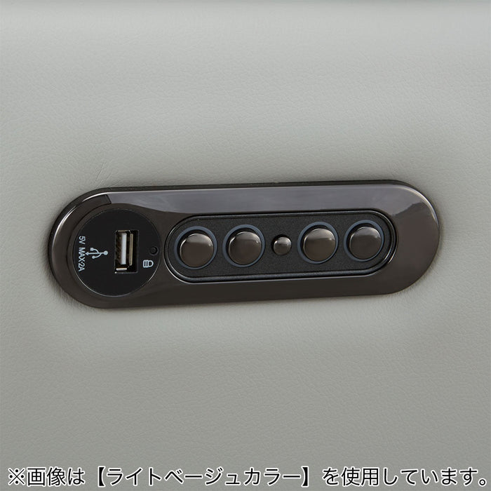 2M ELECTRIC 3P SOFA LS02 NW DBL