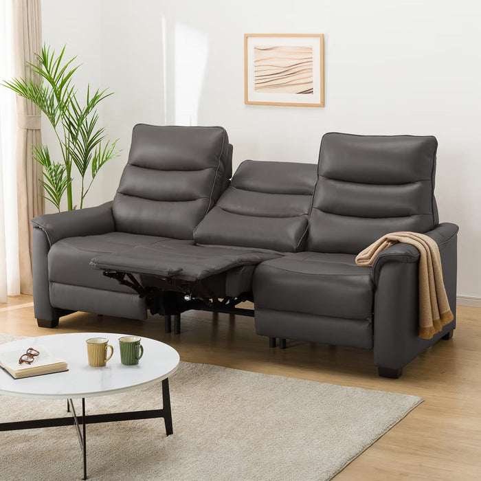 3 ELECTRIC 3P SOFA N-BELIEVA 3 TK-LEATHER DGY