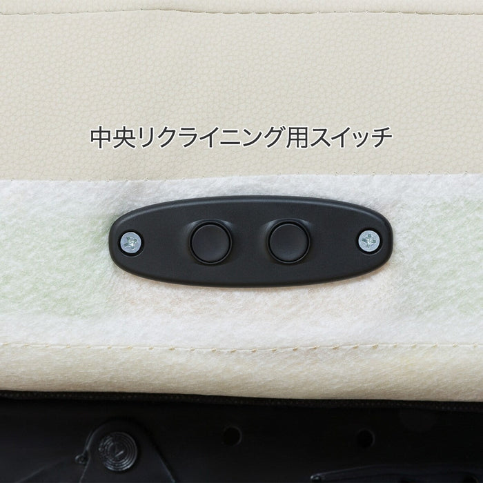 3 ELECTRIC 3P SOFA N-BELIEVA 3 N-SHIELD IV