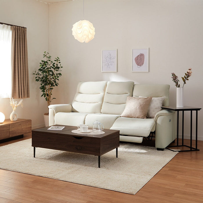 3P ELECTRIC SOFA N-BELIEVA 3 N-SHIELD IV