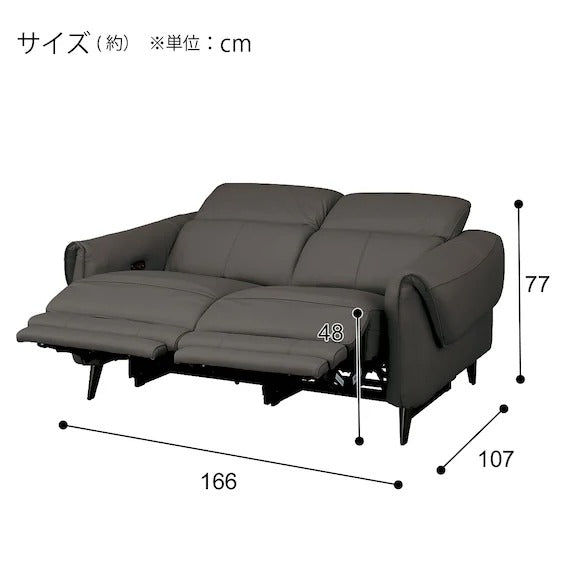 ELECTRIC 2P SOFA LS04 NW DGY