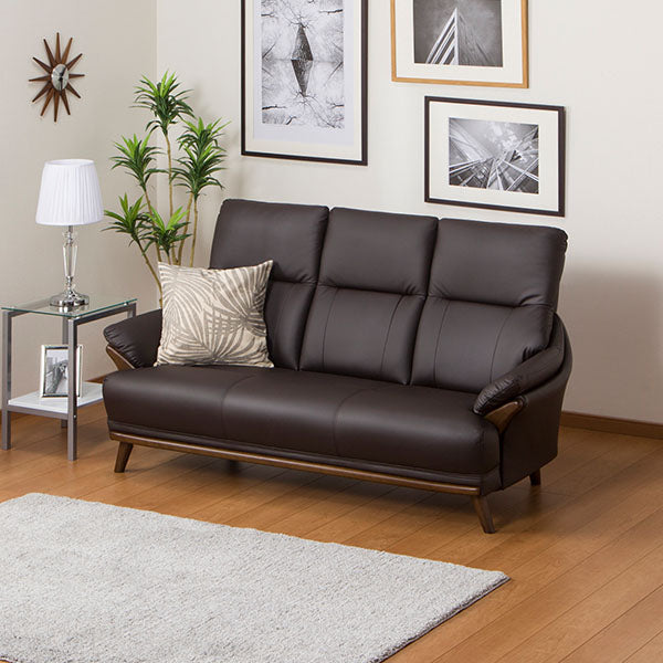 3S-SOFA N-SHIELD KOTEI3 DBR