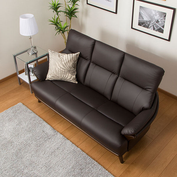 3S-SOFA N-SHIELD KOTEI3 DBR