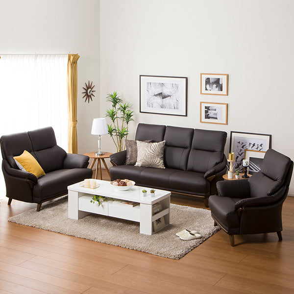 3S-SOFA N-SHIELD KOTEI3 DBR