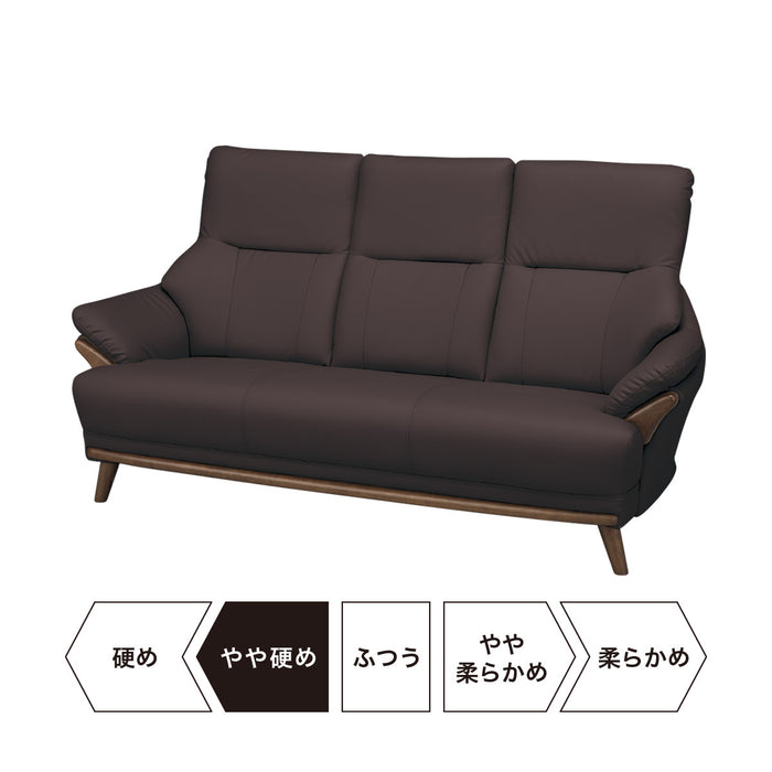 3S-SOFA N-SHIELD KOTEI3 DBR