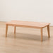 CENTER TABLE COLLECTION120 T-01 NA