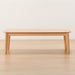 CENTER TABLE COLLECTION120 T-01 NA