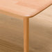 CENTER TABLE COLLECTION120 T-01 NA