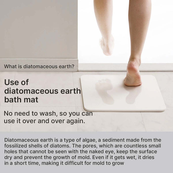 DIATOMITE BATH MAT DRY2 TBL 29X39