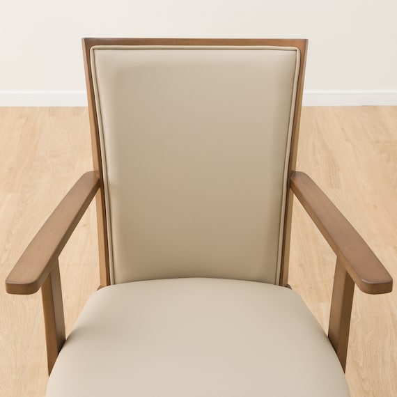 DC SW ARM LG-010 MBR