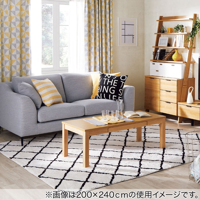RUG PB SHAGGY IV DIA 185X185