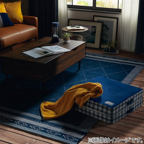 RUG GIODIA 200X240