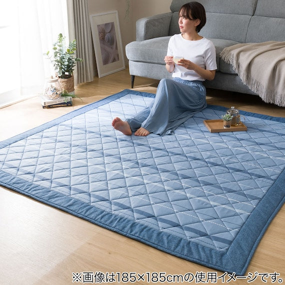 RUG NCOOLSP LINE N 185X240 TC09
